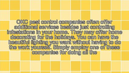 How You Can Decorate Your Home With Holiday Lighting With The Help Of An OKC Pest Control Company