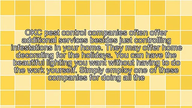 How You Can Decorate Your Home With Holiday Lighting With The Help Of An OKC Pest Control Company