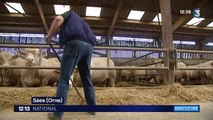 Agriculture : les éleveurs bovins protestent