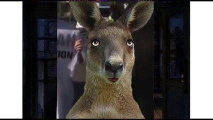 Roo Tracey VS Stacey