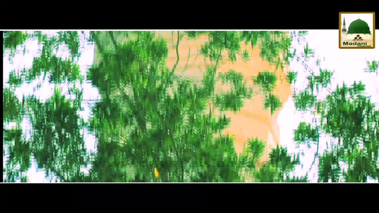 Short Clip - Masjid-ul-Areesh