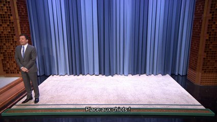 Jimmy Fallon / Course de chiots - Emission du 29 avril sur MCM !