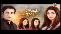 Aye Zindagi Episode 10 Promo 7 May 2015 Full Hum Tv
