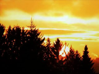 He Leadeth Me by The London Fox Singers