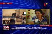 Barranco: tras denuncia de vecinos rescatan y ponen en adopción 16 perros