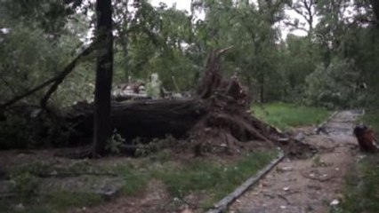 Piknik Yaparken Devrilen Ağaç Altında Kalan Gençler Kurtarıldı