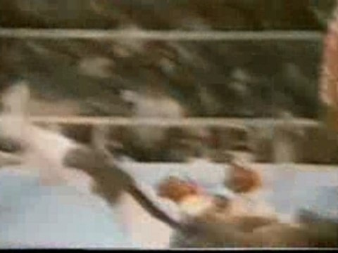combat mike tyson Mike Tyson