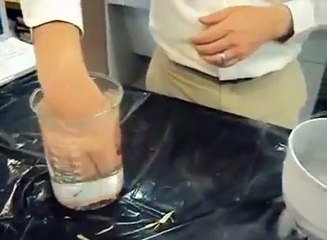 Real sau fake_ Experiment incredibil cu un pestisor auriu