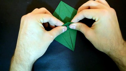 Origami: Arara - Macaw Parrot