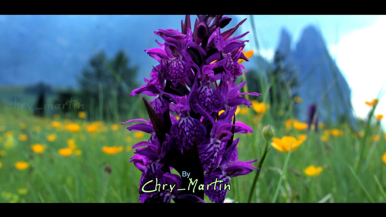 Bhayamethumillente Daivam Super hit Malayalam Christian Devotional song by K G Markose