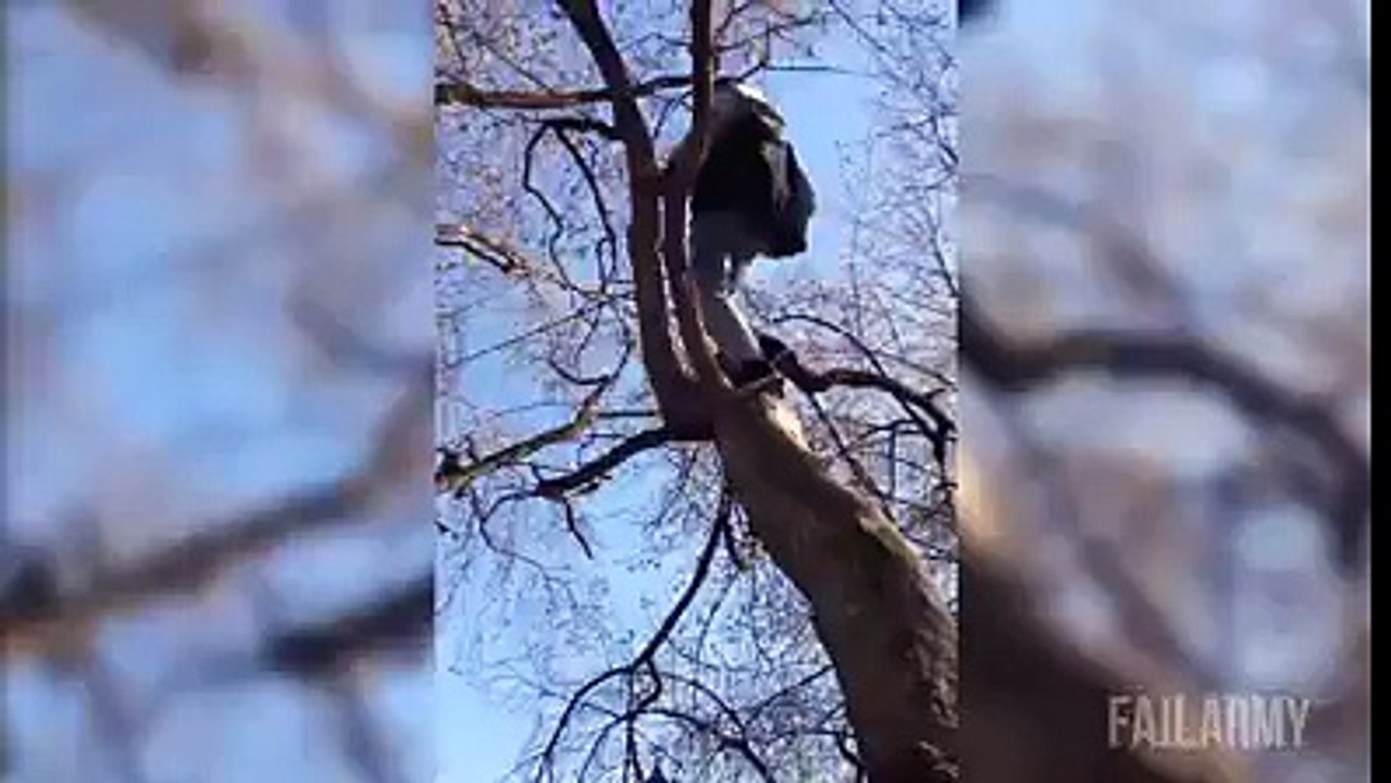 En su mente habia salido mejor!!