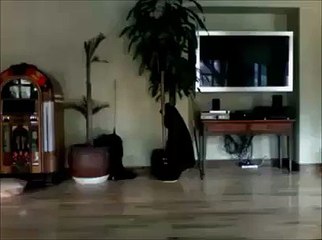 9 Seconds of Girls - LiveLeak Videos