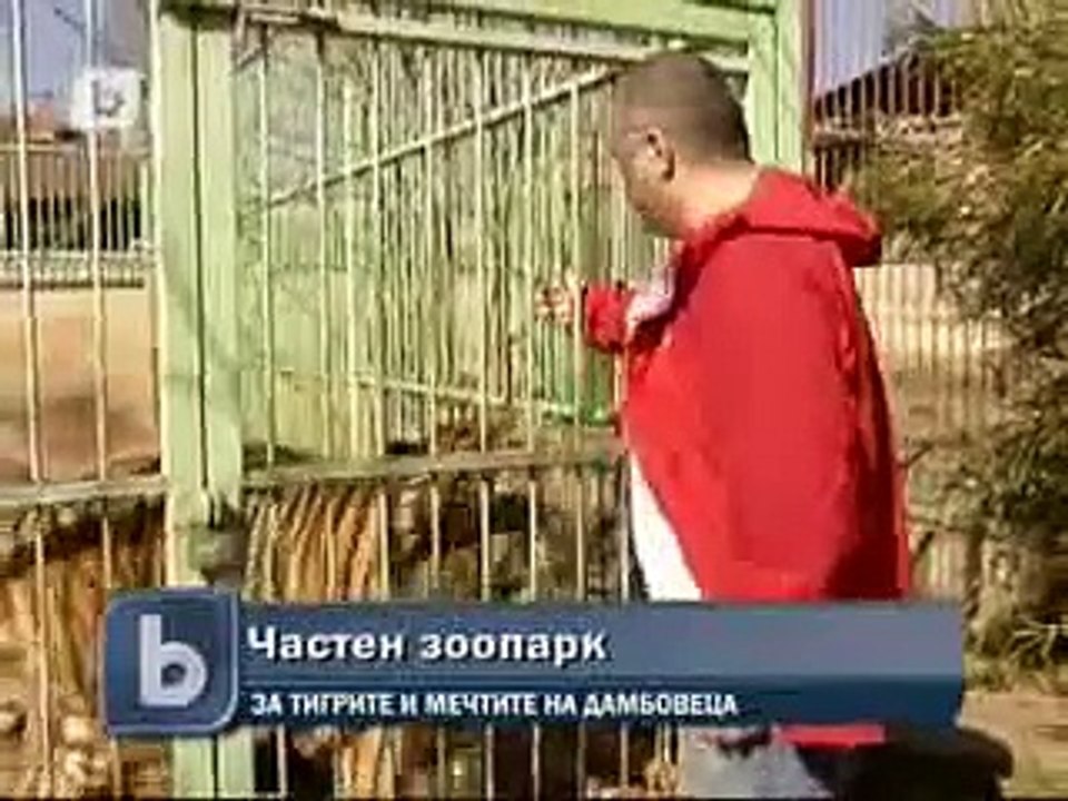 Тигрите, иззети при "Октопод", отново са при Дамбовците