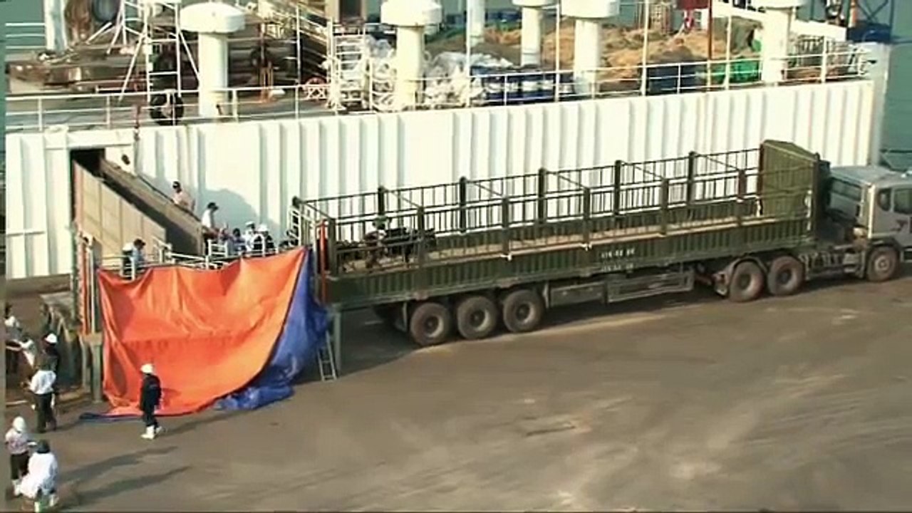 Vietnam Project - DFS