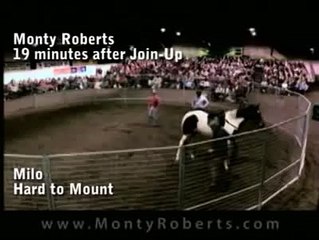 Monty Roberts and Milo