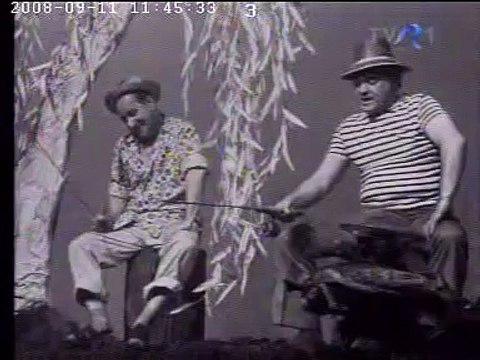 Stefan Mihailescu Braila si Dem Radulescu