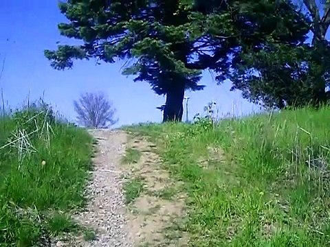 Gonna Fly Now - in the Dome (Rocky Theme)