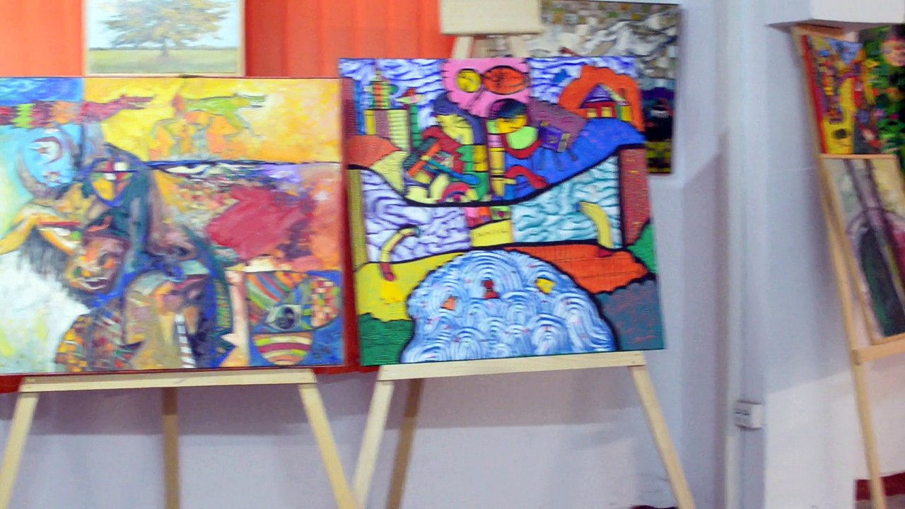 Sorin Mihailescu - Asociatia Niste Tarani (1)