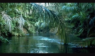 Disturbed's Indestructible- American Military Tribute