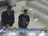 Teen accused of molesting young students
