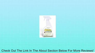 Avenger Natural Bed Bug Killer; Ready-To-Use Spray Bottle Review