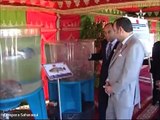 Maroc , S.M. le Roi s'informe du programme de repeuplement des récifs artificiels