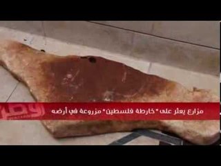 مزارع يعثر على خارطة فلسطين مزروعة في أرضه