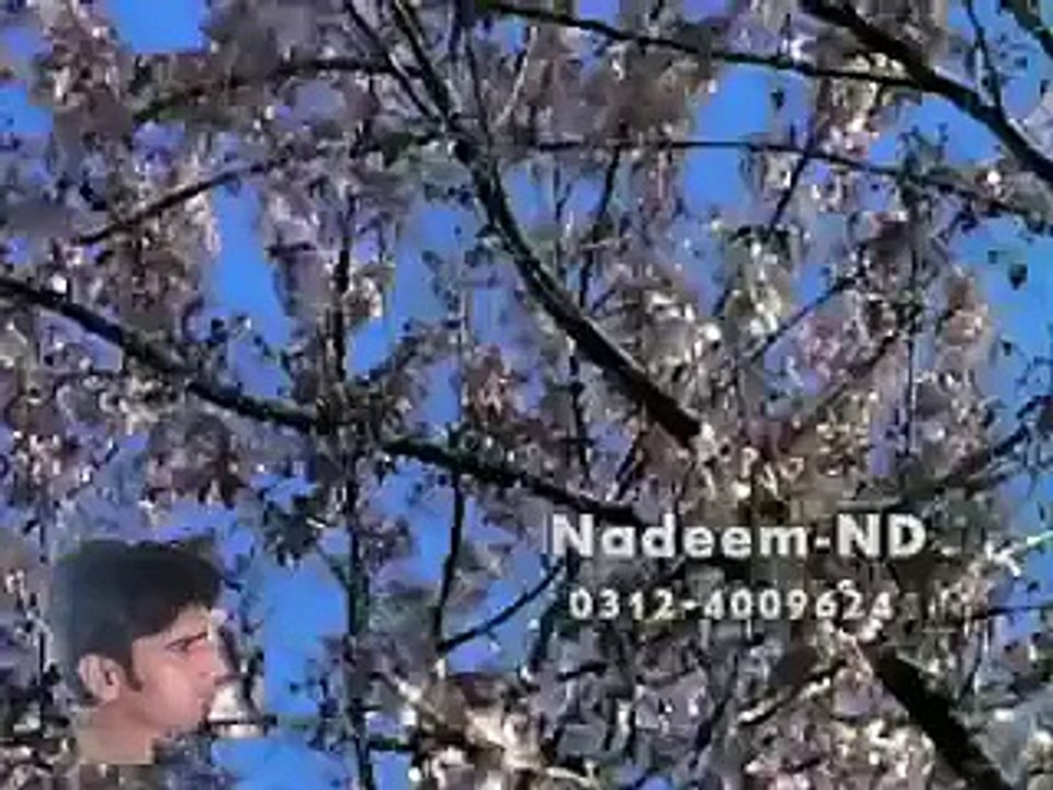 Kehri Ghalti hoi ay Zalim (Mansoor Malangi)