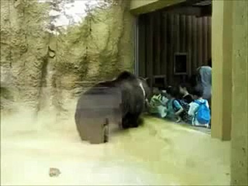 bear dancing with kids