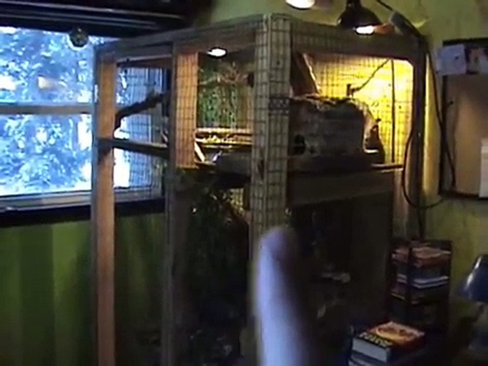 Iguana Care -Housing