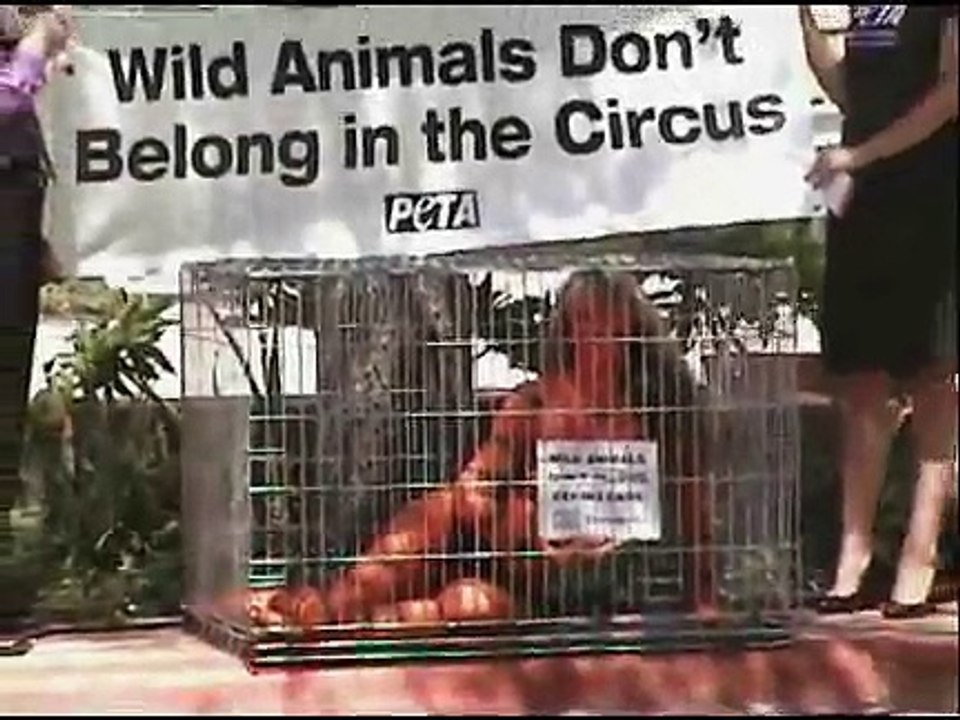 Woman goes topless for PETA protest in Corpus Christi, TX
