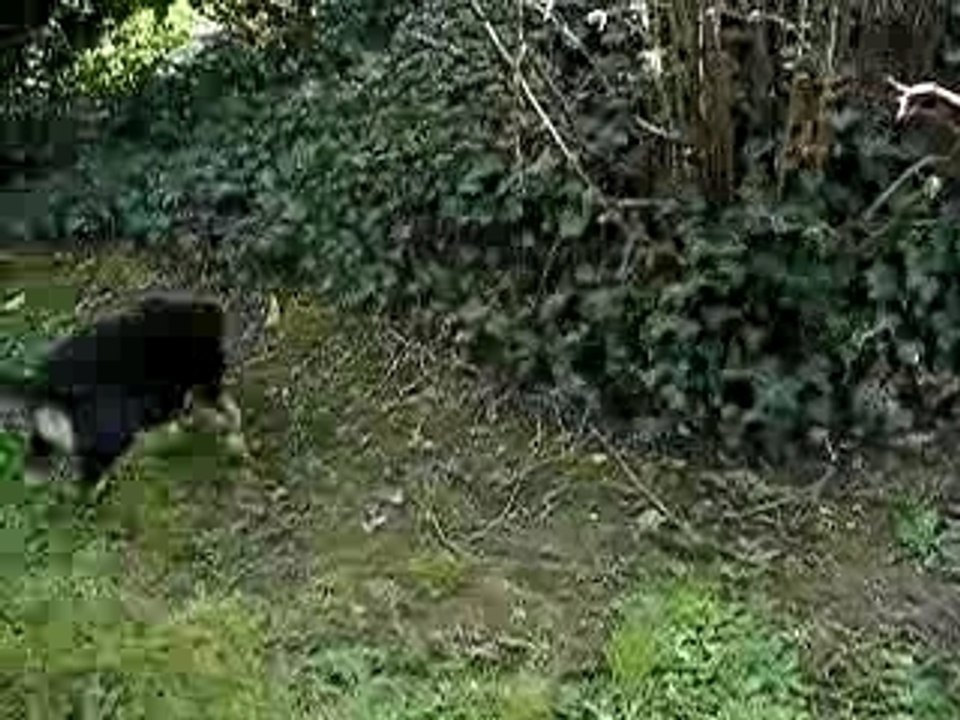 jeux au jardin2