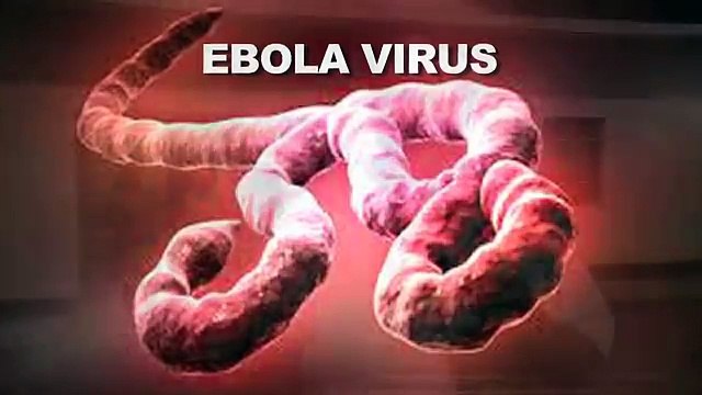 Sierra Leone Video Diary: Ebola Outbreak