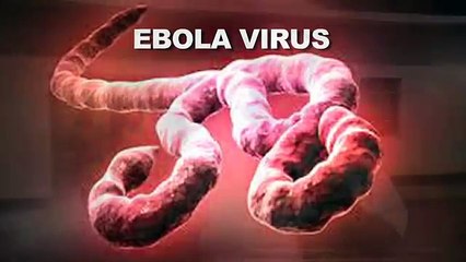 Sierra Leone Video Diary: Ebola Outbreak