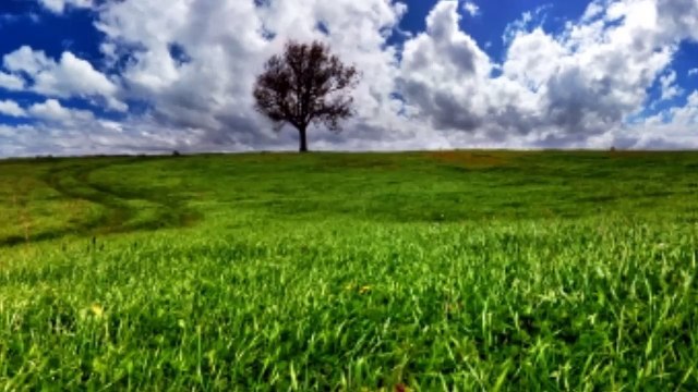 El señor es mi pastor, Devocional cristiano, Reflexion para hoy