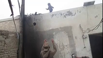 Amazing trick, can you what a 3 year old can do - PkDhamal.com