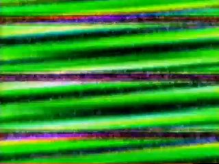 The Most Extreme on Animal Planet  "Killer Cats" with Scott Lope