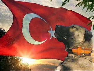 KANGAL KİNG PANZER 1