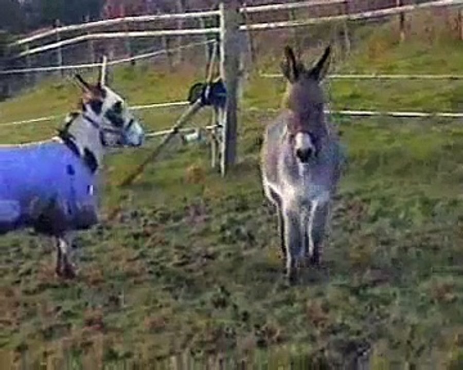 When Billy Met Sammy