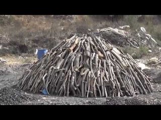 بالفيديو... صناعة الفحم اليعبداوي إرث الأجداد