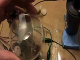 Tesla Light Bulb Experiment Replication