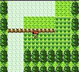 Pokemon Gold, Missingno (2)