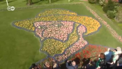 Van Gogh'un Çiçek Portresi Kekuenhof'da Görülebilir