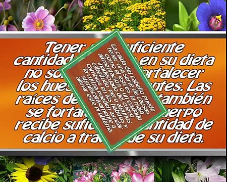 5 Fascinante Remedios Caseros para la Caída del Pelo