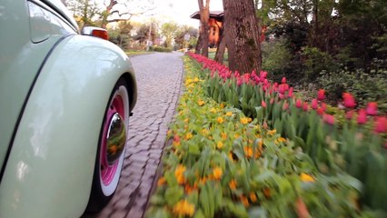 Belgın 1972 - Directed by Muhammet Tarhan