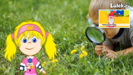 Galimatias w kalendarzu - Wiem, ile zjem! - Film edukacyjny dla dzieci - Lulek.tv