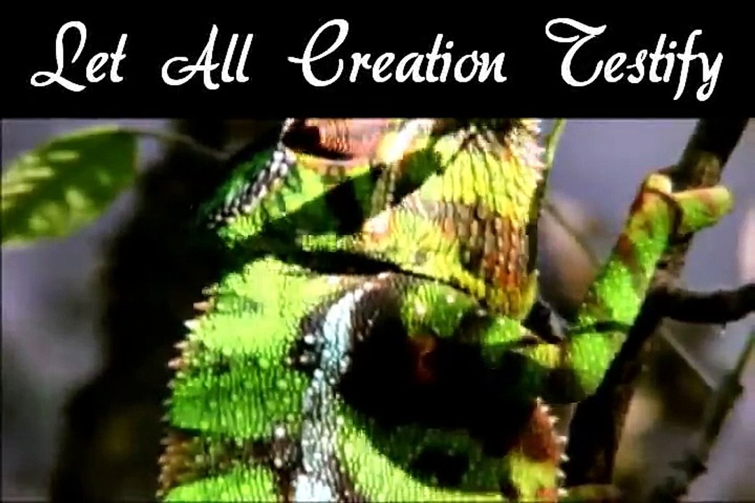 MY REDEEMER LIVES - NICOLE C MULLEN VIDEO WITH LYRICS nonHD