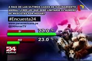Encuesta 24: 77% cree que debe limitarse número de mascotas en hogares