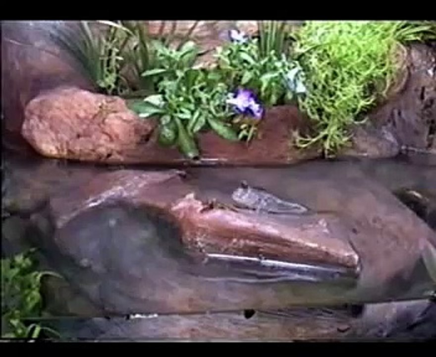 Team Mudskipper vs The Flying Ants