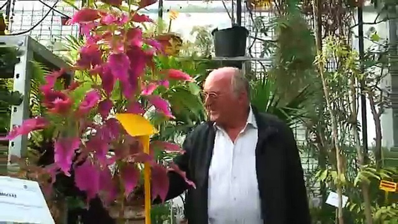 Francis HALLE, à la Faculté des Sciences de l'Université d'Angers